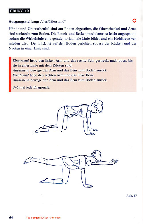 book Ruecken-S64 500