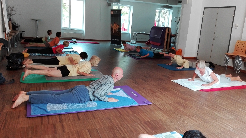 idy krems 2
