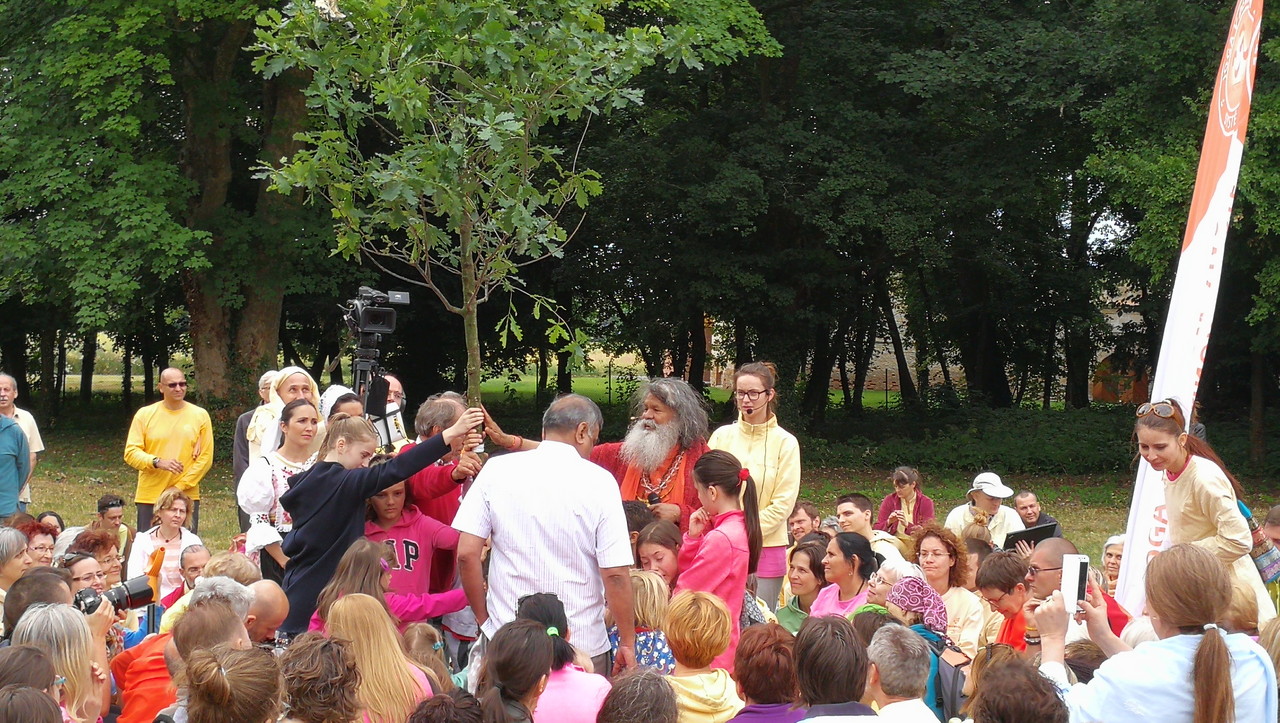 IMG 20170617 120205 picsay