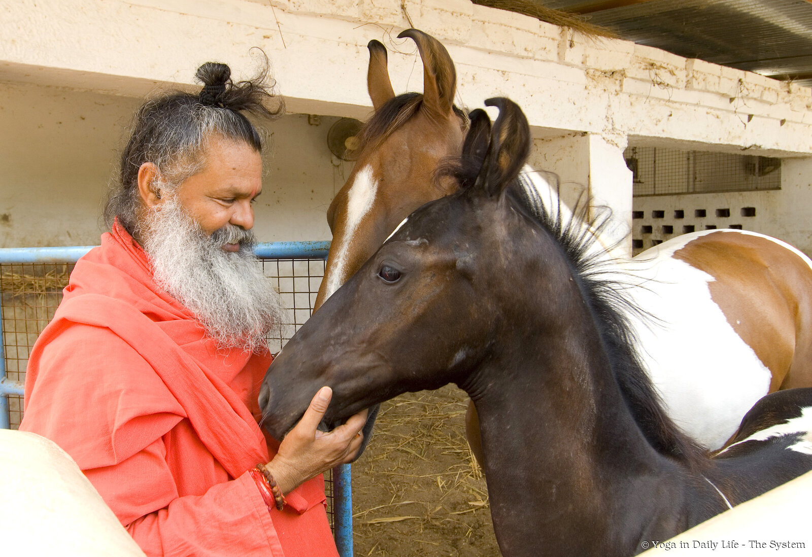 2025 06 21 Yogatag12